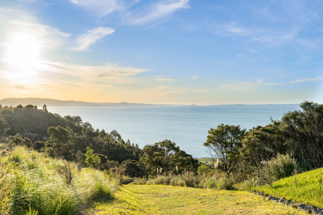 Land in Tapu, Waikato, New Zealand 4 - 16782853
