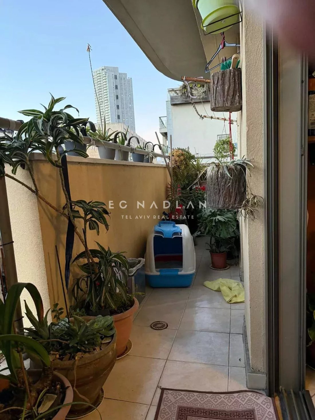 Apartment in Tel Aviv-Yafo, Tel Aviv District, Israel 4 - 16784414
