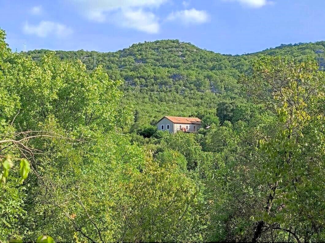 Estate in Drušići, Cetinje Municipality, Montenegro 5 - 16784770