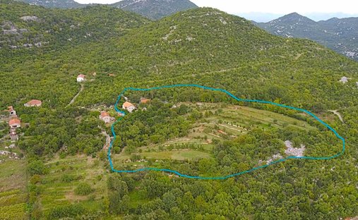 Estate in Drušići, Cetinje Municipality, Montenegro 1