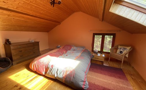 The Aristocratic Chateau Of Beechwood