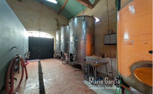 12th Century Fortified Castle On A Park Of Over 1 Ha