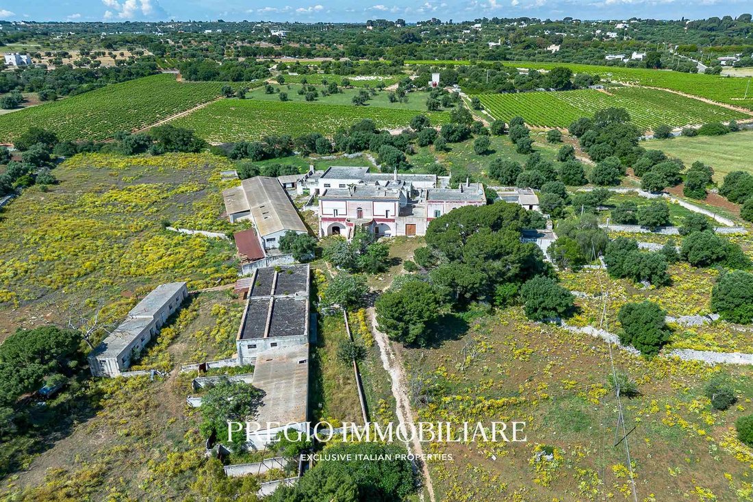Country House in Gorgofreddo, Monopoli, Apulia 4 - 16792538