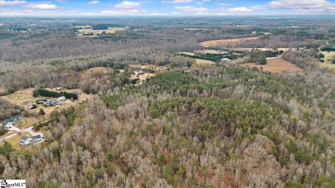 Farm Ranch in Woodruff, South Carolina, United States 5 - 16792871