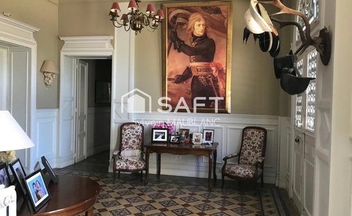 Castle for Sale in Charentonnay, Centre-Val de Loire, France