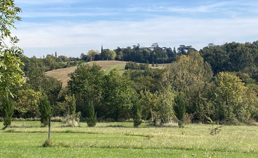 The Aristocratic Chateau Of Beechwood