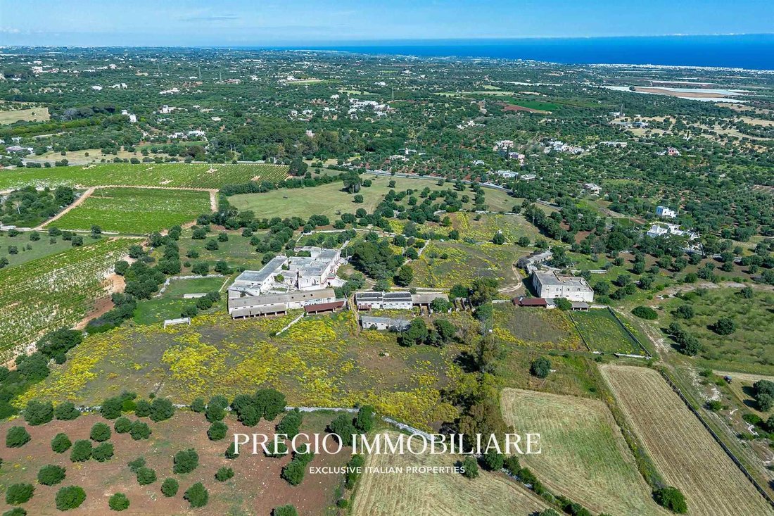 Country House in Gorgofreddo, Monopoli, Apulia 1 - 16792538