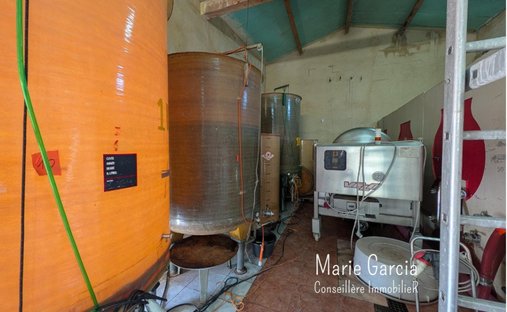 12th Century Fortified Castle On A Park Of Over 1 Ha