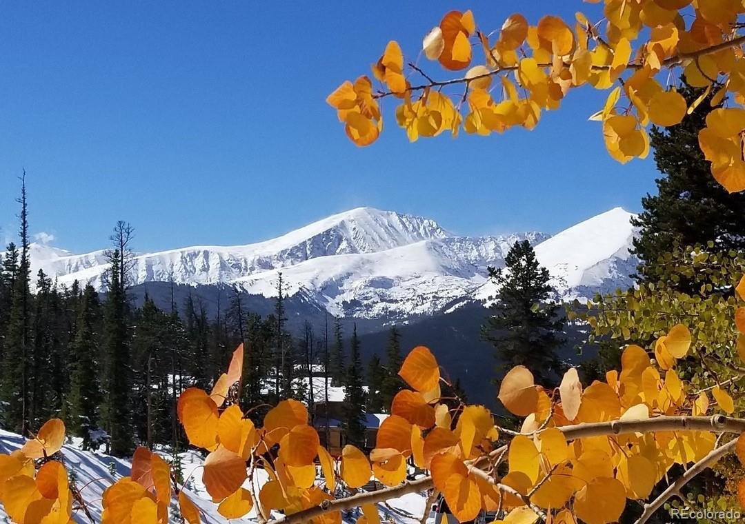 Condo in Breckenridge, Colorado, United States 1 - 16794019