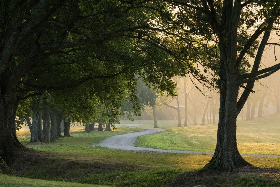 Maison à Franklin, Tennessee, États-Unis 5 - 16791080