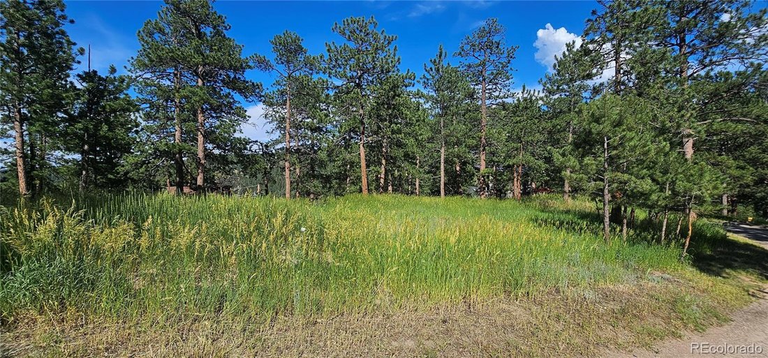 House in Evergreen, Colorado, United States 5 - 16794368