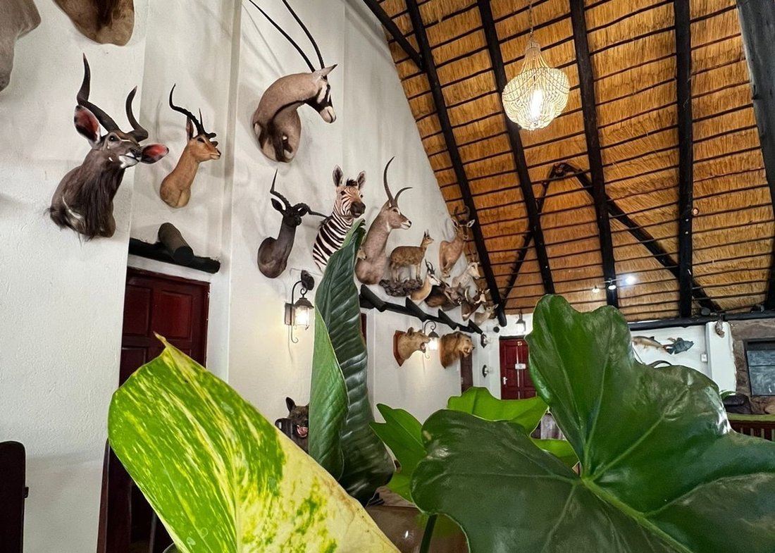 Farm Ranch in Alldays, Limpopo, South Africa 4 - 16785658