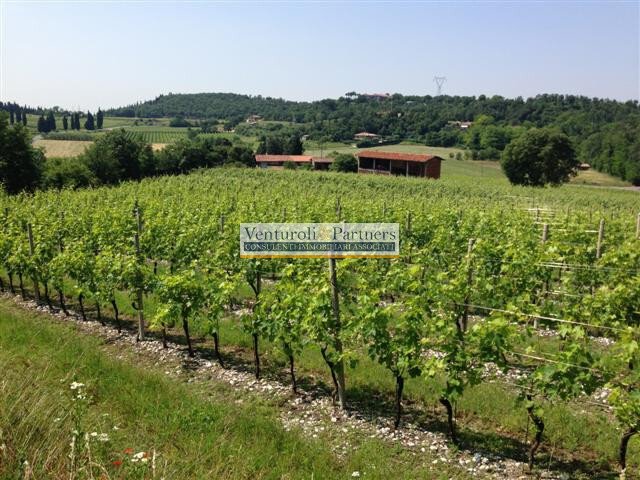 Land in Entroterra, Desenzano del Garda, Lombardy 3 - 16793047