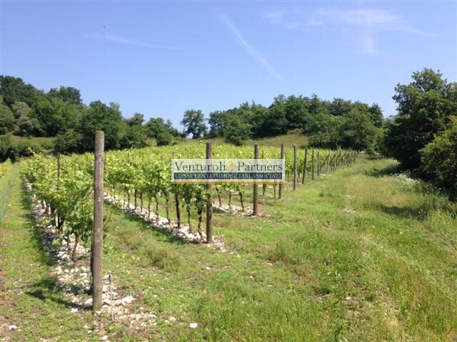 Land in Entroterra, Desenzano del Garda, Lombardy 2 - 16793047
