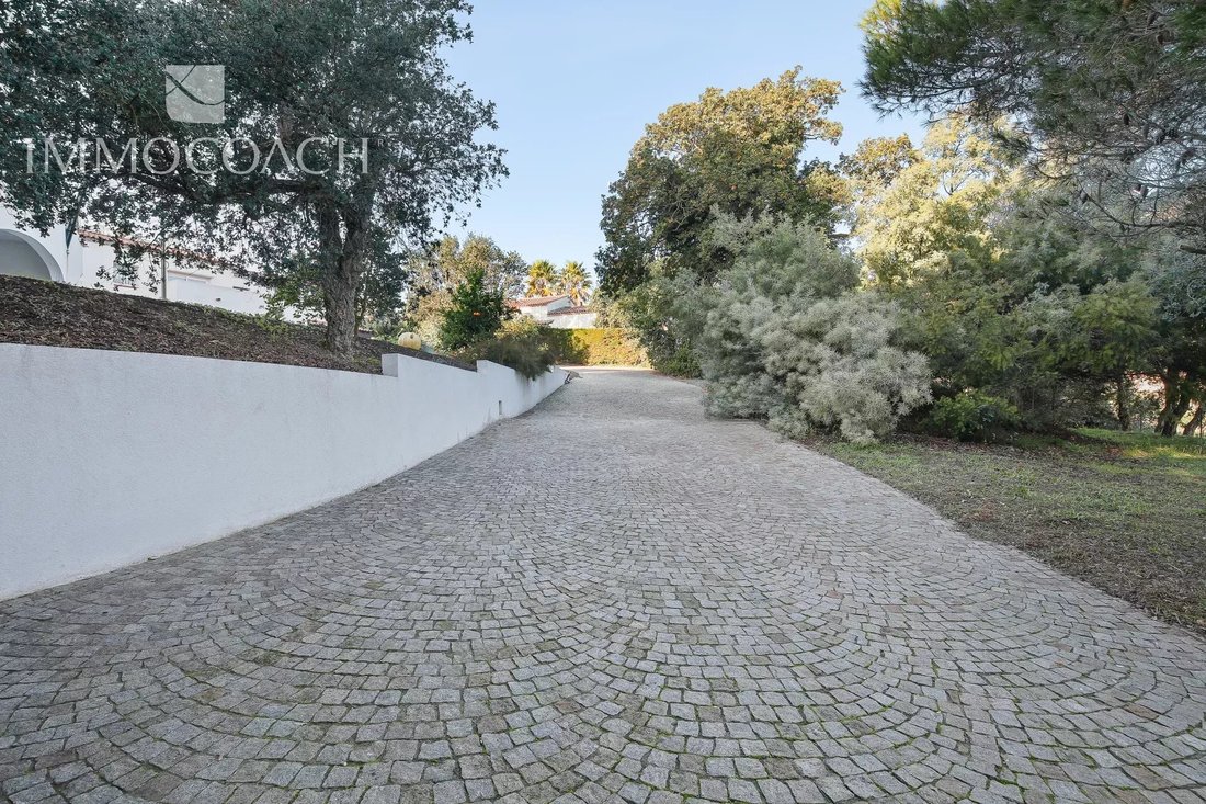 Estate in Centre, Bormes-les-Mimosas, France 4 - 16398343
