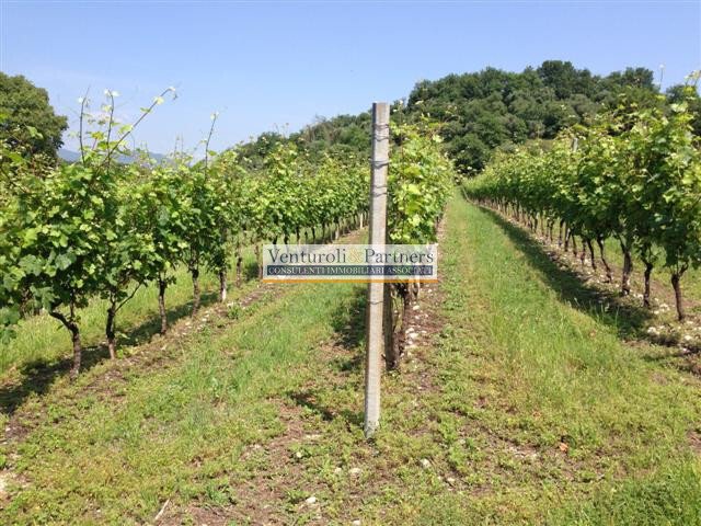 Land in Entroterra, Desenzano del Garda, Lombardy 1 - 16793047