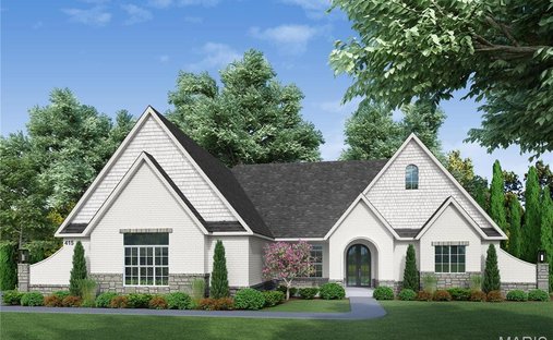 House in New Melle, Missouri, United States 1