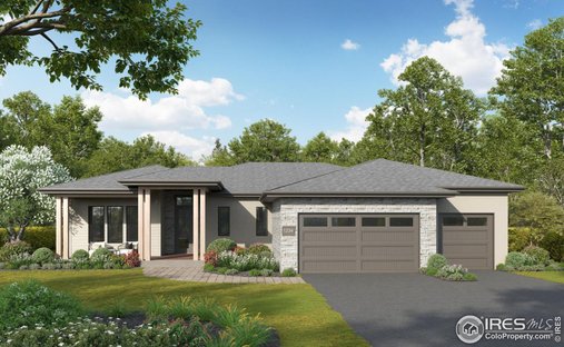 House in Fort Collins, Colorado, United States 1