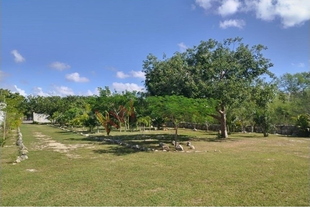 Land in Mérida, Yucatan, Mexico 4 - 16792947