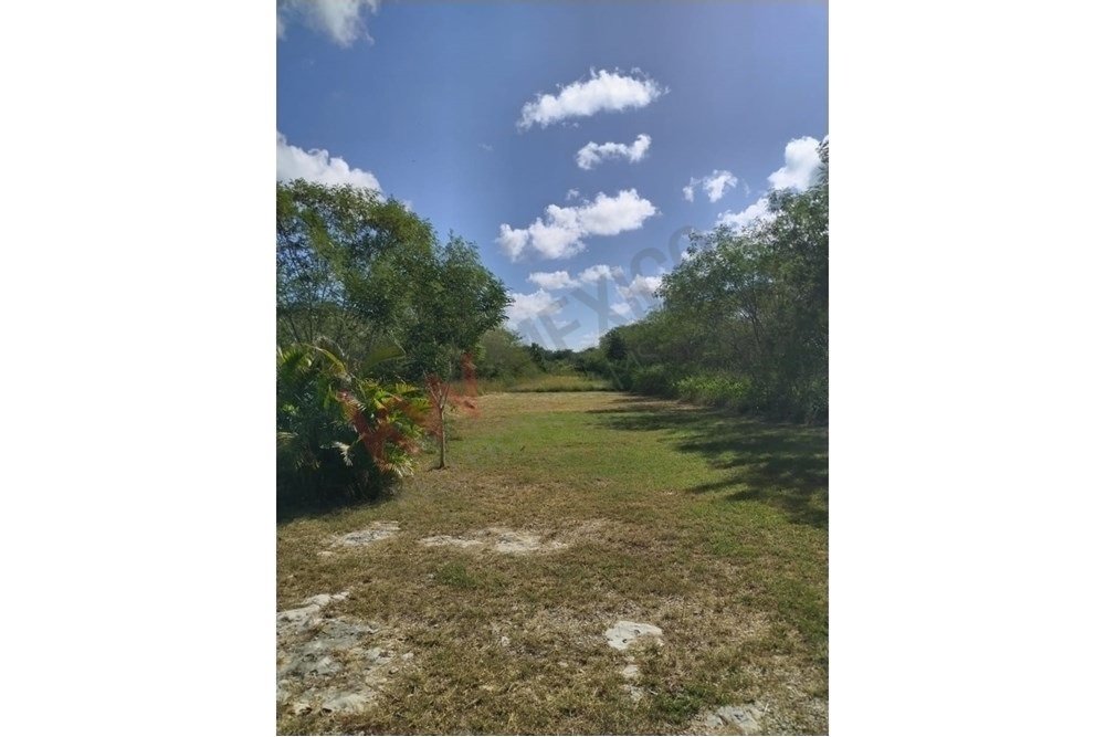 Land in Mérida, Yucatan, Mexico 5 - 16792947