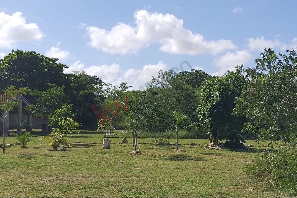 Land in Mérida, Yucatan, Mexico 1 - 16792947