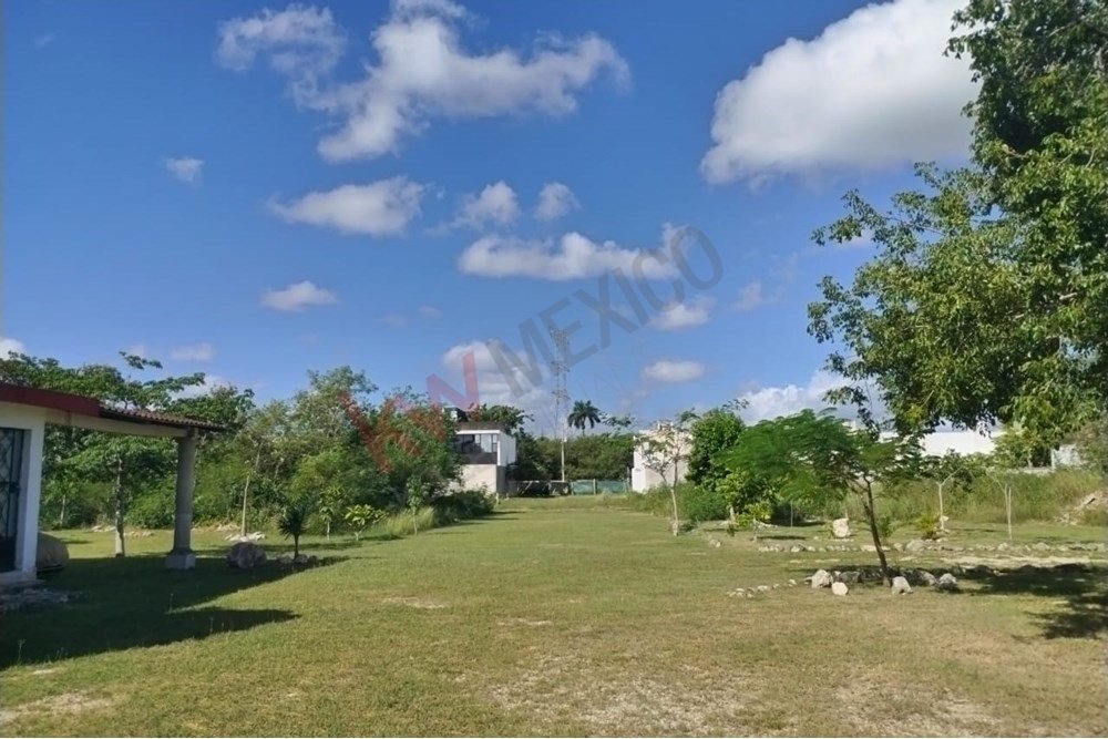 Land in Mérida, Yucatan, Mexico 3 - 16792947