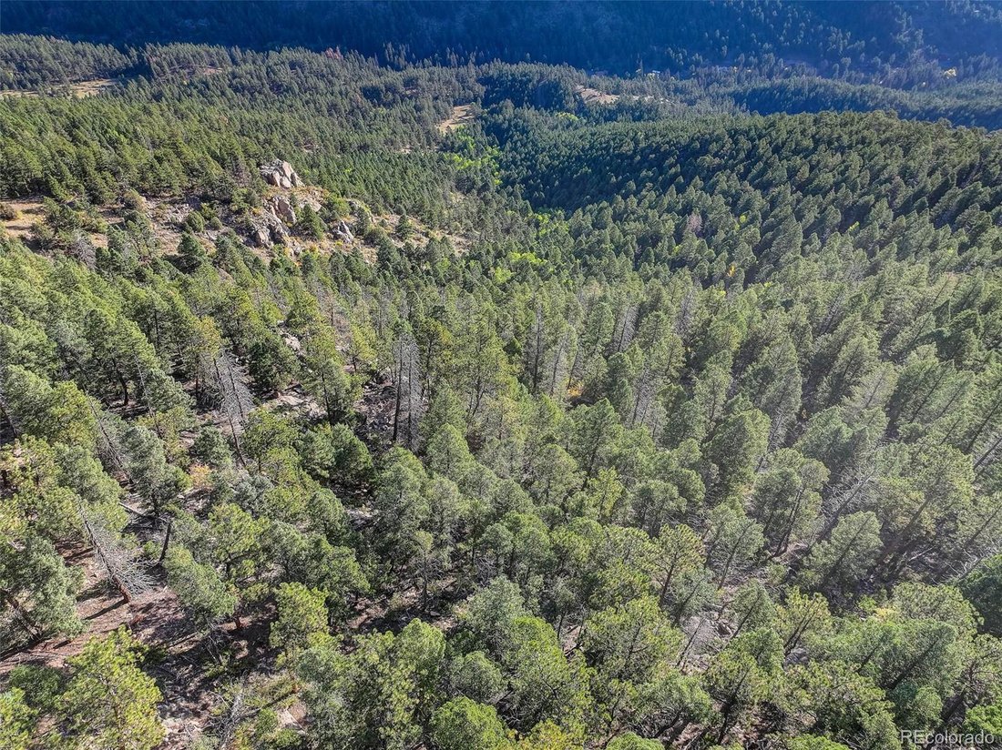 House in Conifer, Colorado, United States 5 - 16794309