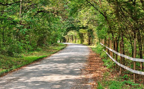 Land in Belfast, Tennessee, United States 1