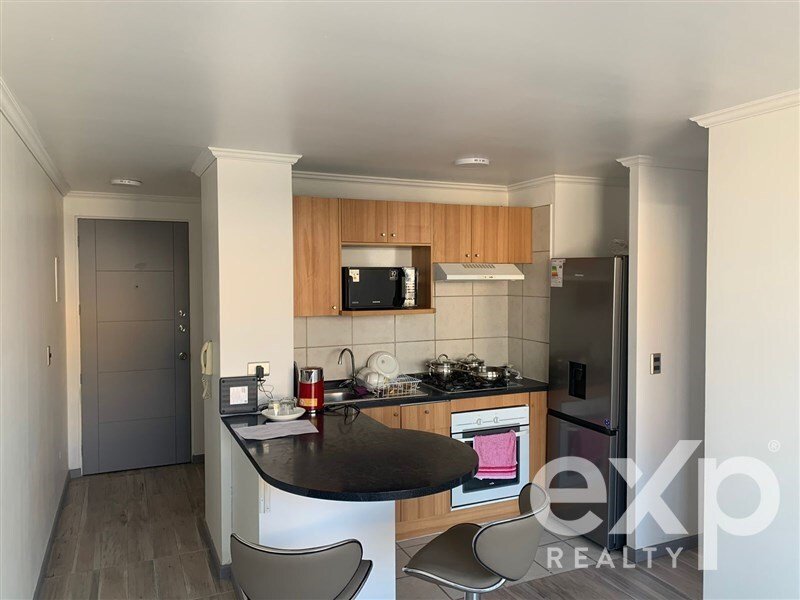 Apartment in Santiago, Santiago Metropolitan Region, Chile 4 - 16796148