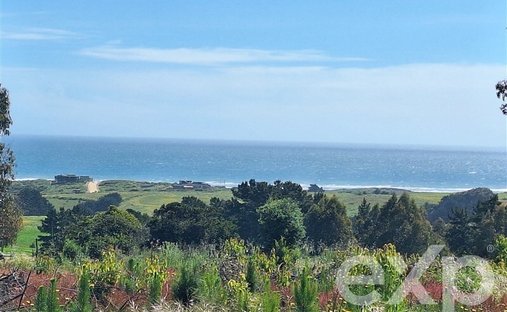 Pichilemu, O'Higgins, Chile 1