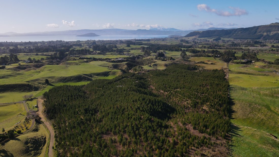 Land in Hamurana, Bay of Plenty, New Zealand 2 - 16796259