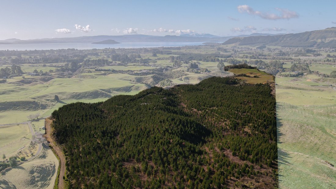 Land in Hamurana, Bay of Plenty, New Zealand 3 - 16796259