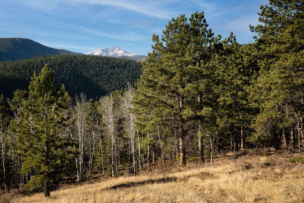 Land in Nederland, Colorado, United States 4 - 16799379