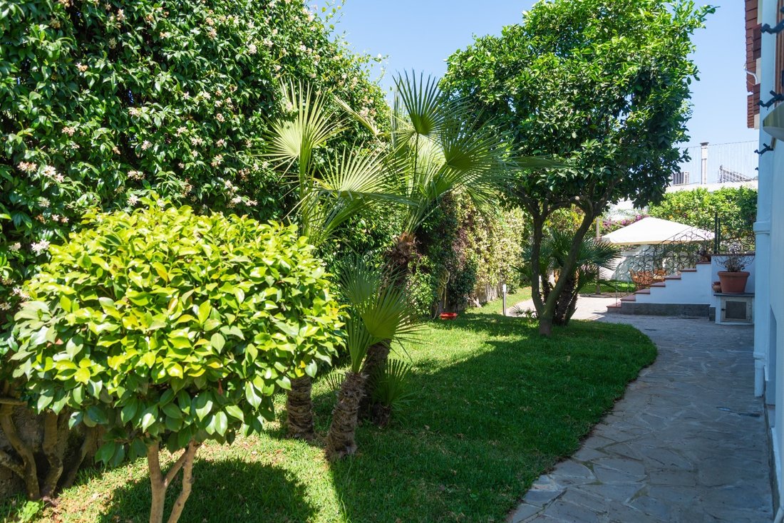 Villa in Barano d'Ischia, Campania, Italy 4 - 16804191