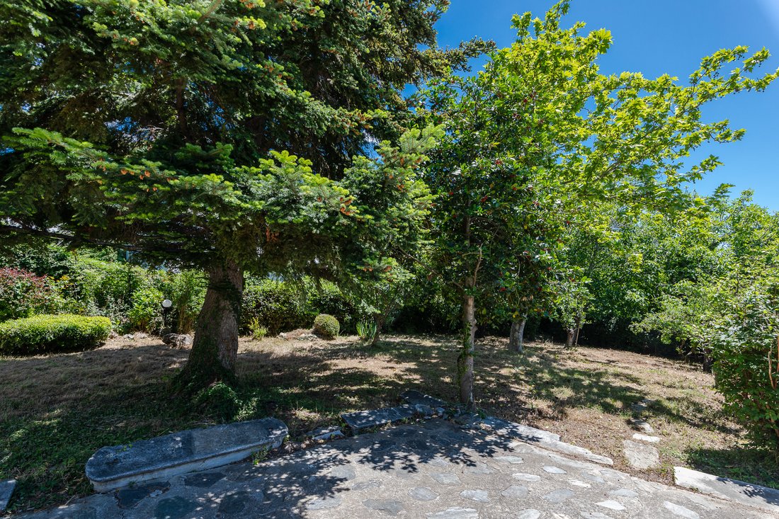 Villa in Volos, Thessaly and Central Greece, Greece 4 - 14446382
