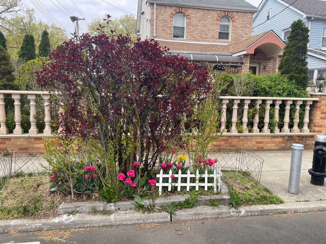 House in New York, New York, United States 3 - 16806090