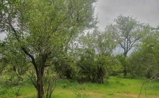 Land in Hoedspruit, Limpopo, South Africa 1