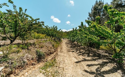 Rancho en Castelejo, Distrito de Castelo Branco, Portugal 1