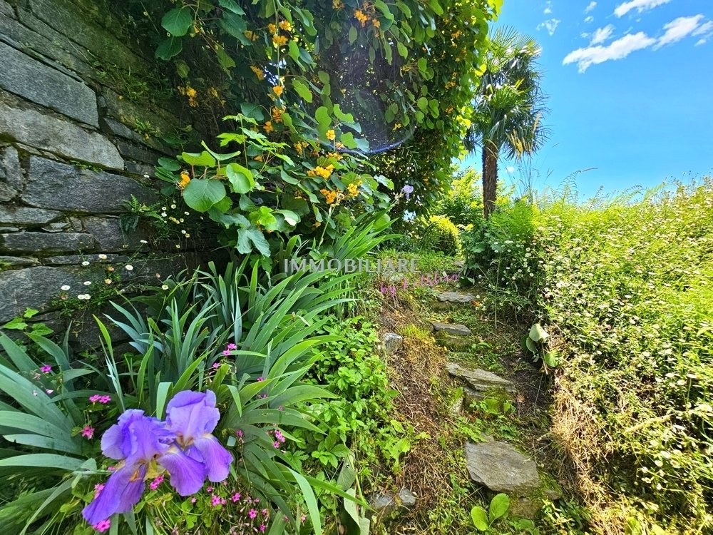 Casa a Gordola, Ticino, Svizzera 5 - 16798623