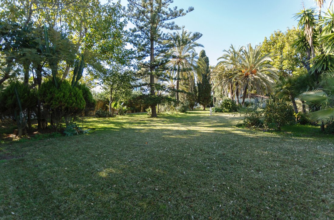 Villa in Guadalmina Baja, San Pedro de Alcantara, Spain 5 - 16805862