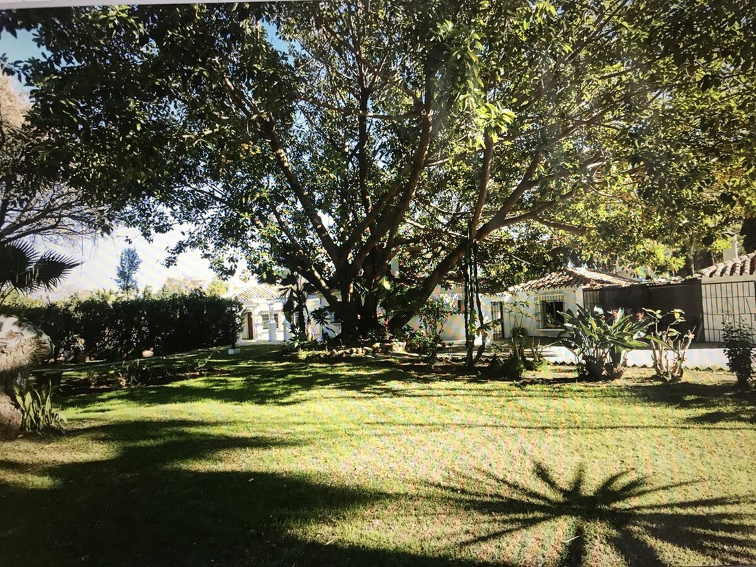 Villa in Guadalmina Baja, San Pedro de Alcantara, Spain 4 - 16805862