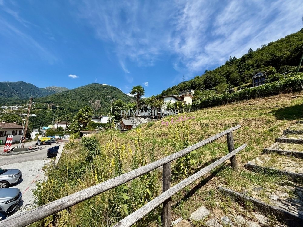 Land in Gordola, Ticino, Switzerland 3 - 16798620