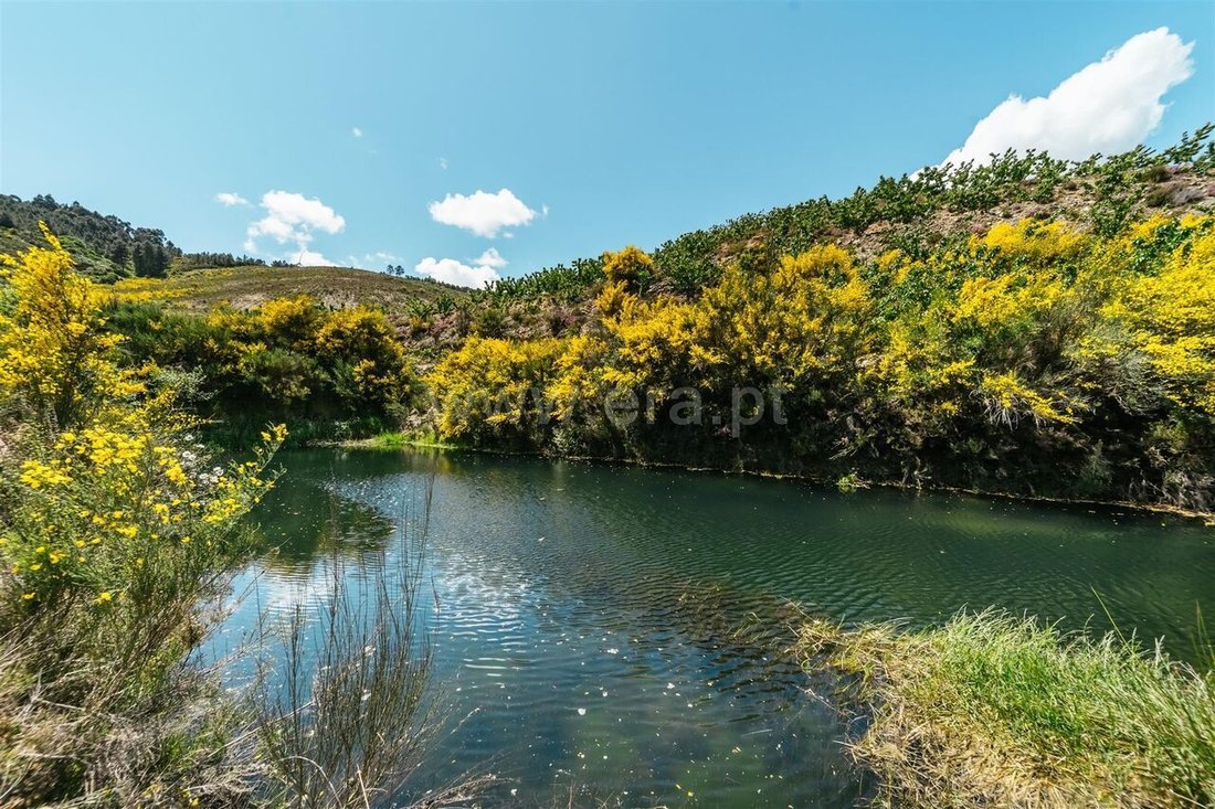 Farm Ranch in Castelejo, Castelo Branco District, Portugal 2 - 15054795