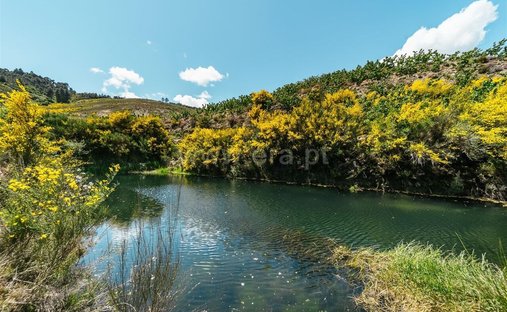 Farm Ranch in Castelejo, Castelo Branco District, Portugal 1
