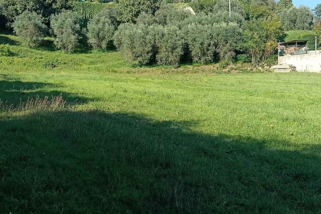 Land in Raffa, Lombardy, Italy 4 - 16805431