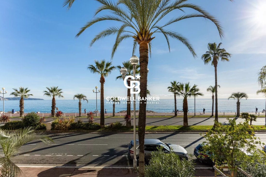 Apartment in Fabron, Nice, France 4 - 16808697