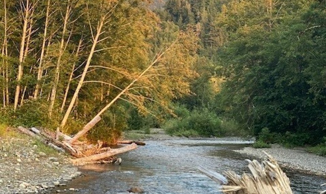 33102 33110 State Route 530, Arlington, In Arlington, Washington ...