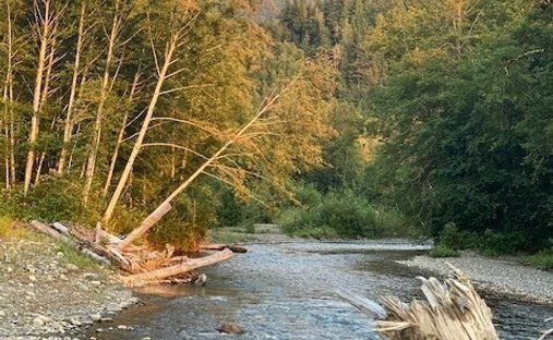 Terreno en Arlington, Washington, Estados Unidos 1