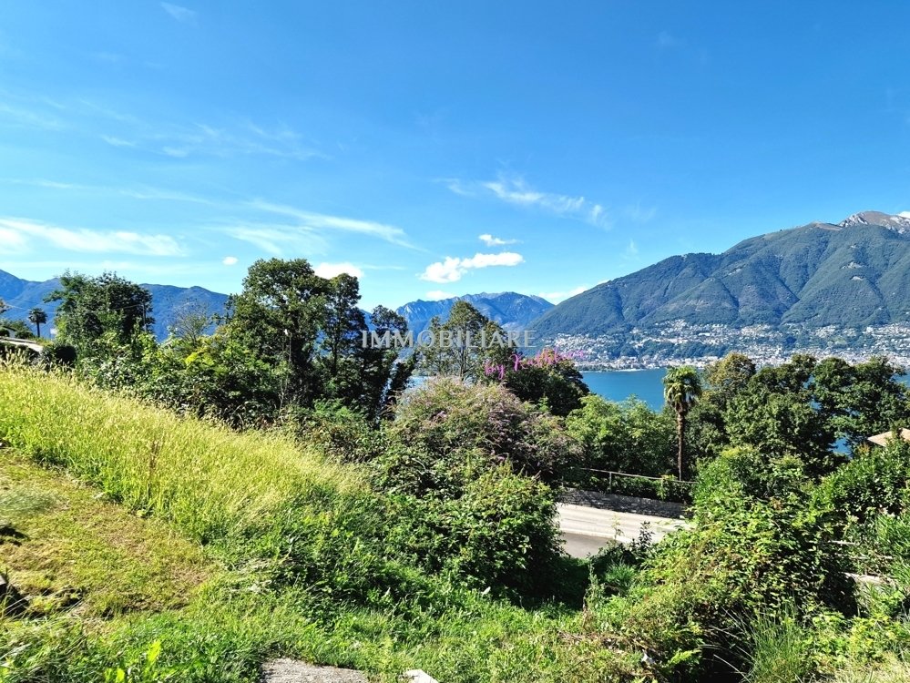Land in Gambarogno, Ticino, Switzerland 2 - 16798605
