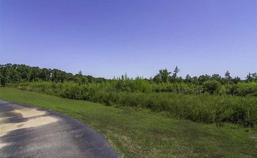 Farm Ranch in Woodruff, South Carolina, United States 1